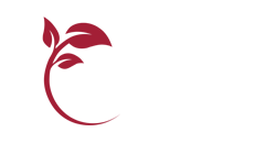 Chiropractic Bloomington IN A Way of Health Chiropractic