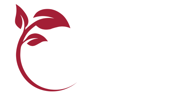 Chiropractic Bloomington IN A Way of Health Chiropractic